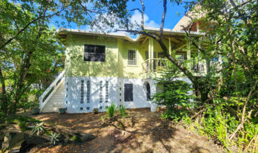 Green Salamander – Upstairs One Bedroom Apartment