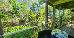 Green Salamander – Upstairs One Bedroom Apartment