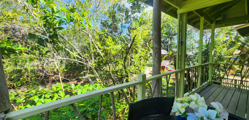 Green Salamander – Upstairs One Bedroom Apartment