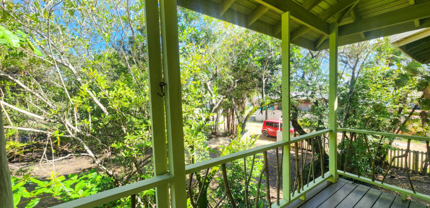 Green Salamander – Upstairs One Bedroom Apartment