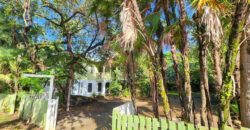 Green Salamander – Upstairs One Bedroom Apartment