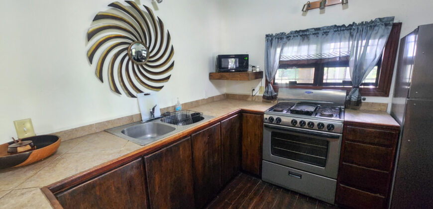 Green Salamander – Upstairs One Bedroom Apartment