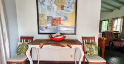 Green Salamander – Upstairs One Bedroom Apartment