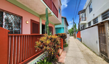 Sidewalk Charmer – One Bedroom Apartment