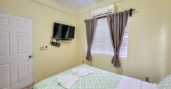 Sidewalk Charmer – One Bedroom Apartment