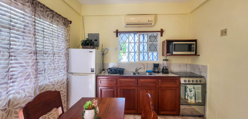 Sidewalk Charmer – One Bedroom Apartment