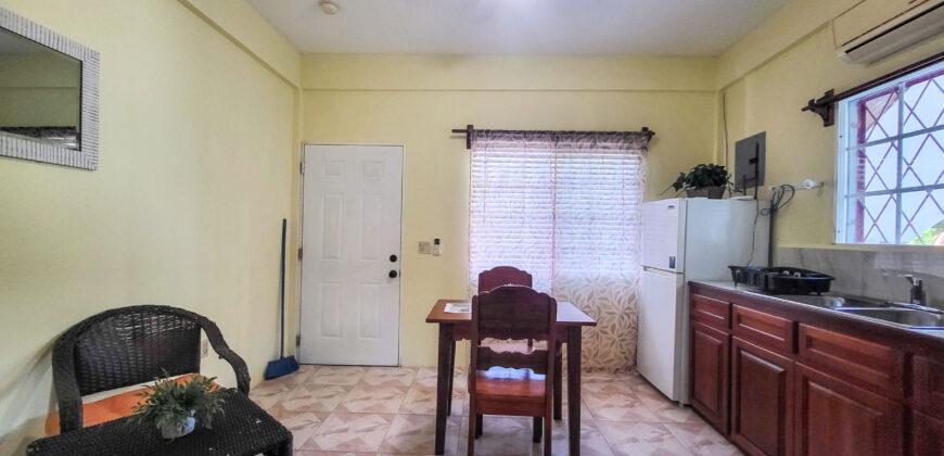 Sidewalk Charmer – One Bedroom Apartment