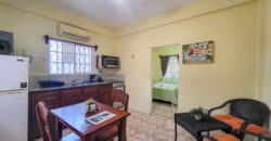 Sidewalk Charmer – One Bedroom Apartment