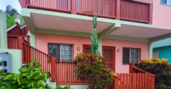 Sidewalk Charmer – One Bedroom Apartment