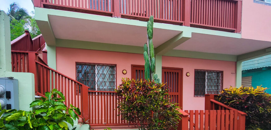 Sidewalk Charmer – One Bedroom Apartment