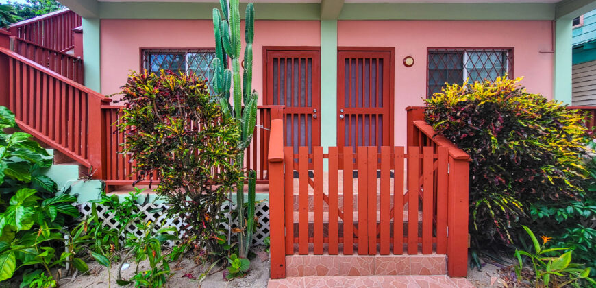 Sidewalk Charmer – One Bedroom Apartment