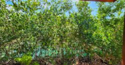 Waterfront Two Bedroom Home – Placencia, Belize