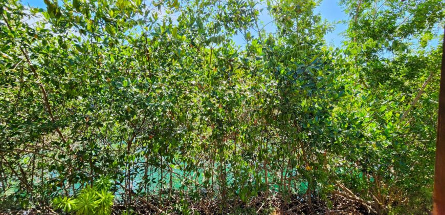 Waterfront Two Bedroom Home – Placencia, Belize