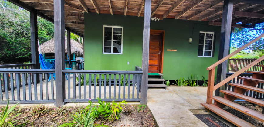 Harley Hippees – Two Bedroom Ground Floor Apartment