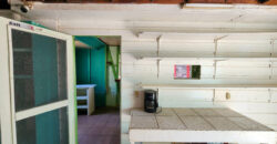 Prime Opportunity In Placencia – Restaurant & Bar