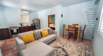 Cashew Tree Cabanas – One-Bedroom Apartment