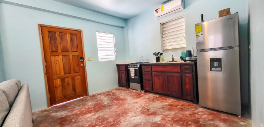 Cashew Tree Cabanas – One-Bedroom Apartment