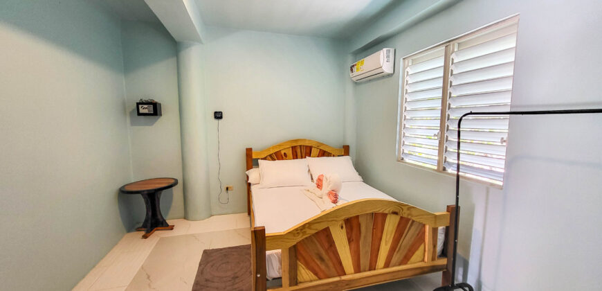 Cashew Tree Cabanas – One-Bedroom Apartment