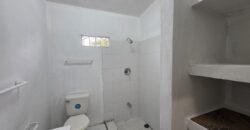 Palm Tree Oasis 2-Bedroom