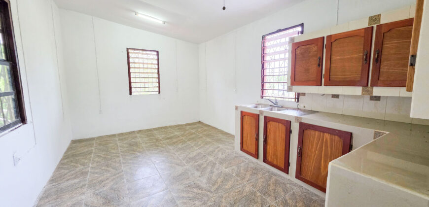 Palm Tree Oasis 2-Bedroom