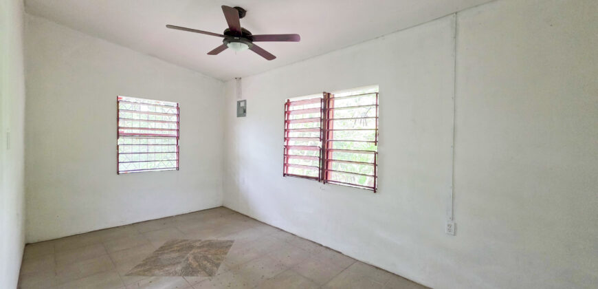 Palm Tree Oasis 2-Bedroom