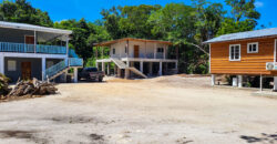 Cashew Tree Crescent Compound