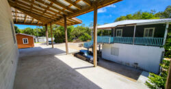 Cashew Tree Crescent Compound