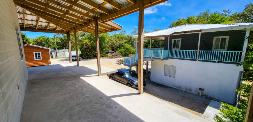 Cashew Tree Crescent Compound