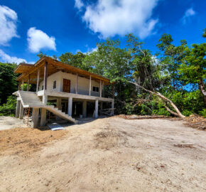 Cashew Tree Crescent Compound