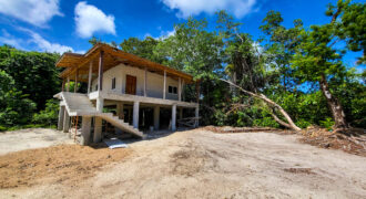 Cashew Tree Crescent Compound