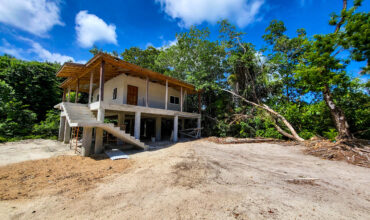 Cashew Tree Crescent Compound