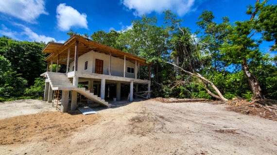 Cashew Tree Crescent Compound Cashew Tree Crescent Compound