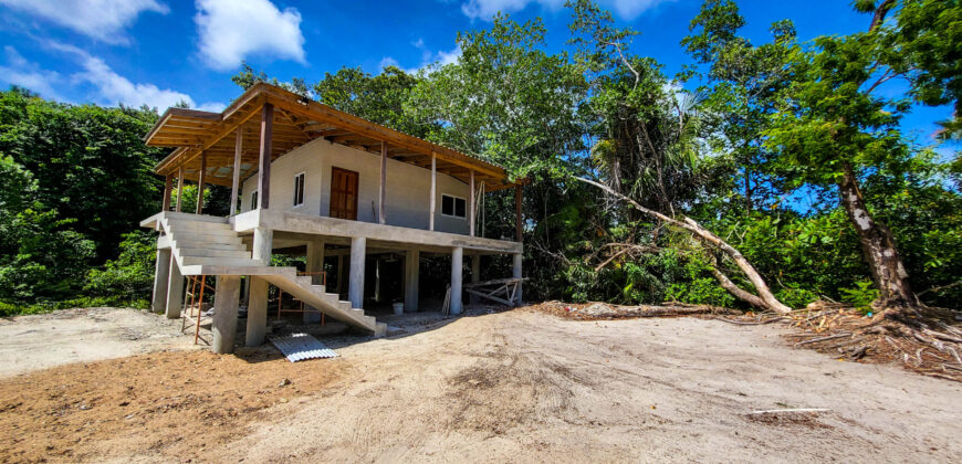 Cashew Tree Crescent Compound