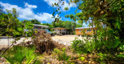 Cashew Tree Crescent Compound
