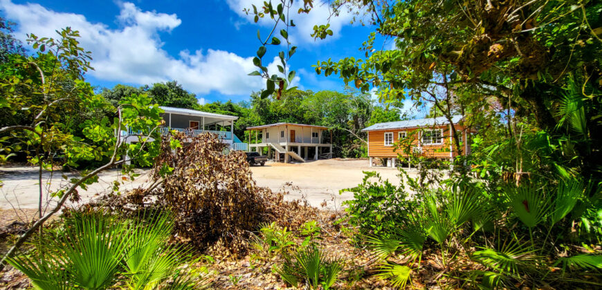 Cashew Tree Crescent Compound
