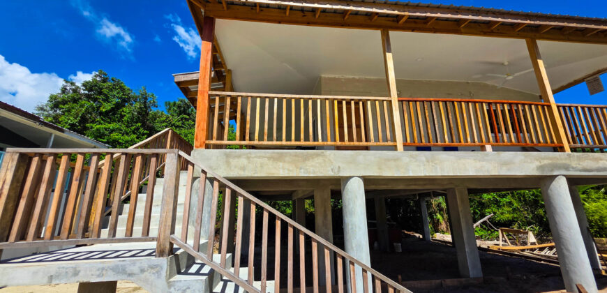 Cashew Tree Crescent Compound