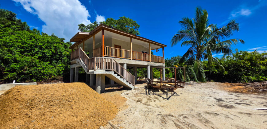 Cashew Tree Crescent Compound