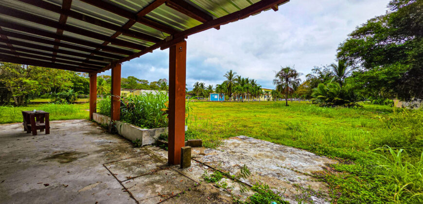 Palm Tree Oasis – 1 bedroom