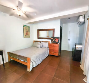 Green Salamander- Single Studio