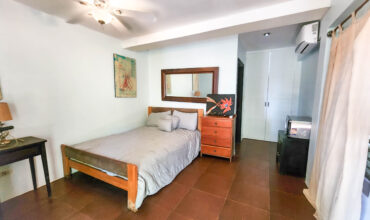 Green Salamander- Single Studio