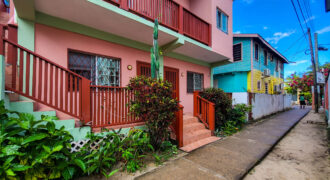 Cozy Sidewalk Apartment – One bedroom