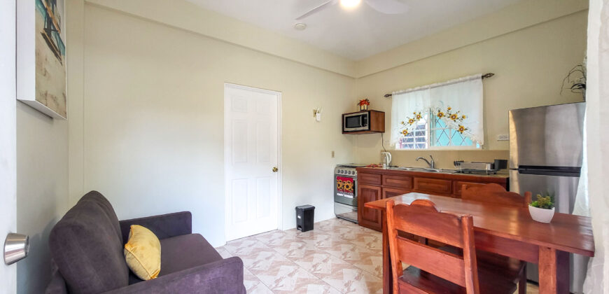 Cozy Sidewalk Apartment – One bedroom