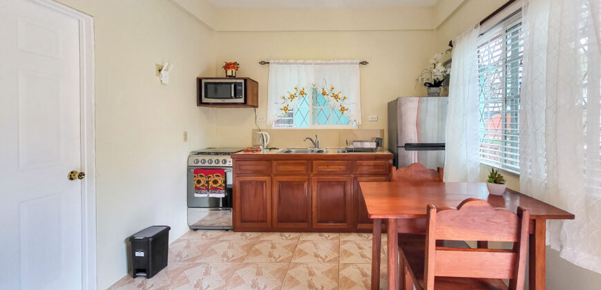 Cozy Sidewalk Apartment – One bedroom
