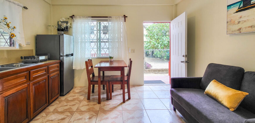 Cozy Sidewalk Apartment – One bedroom