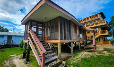 The Brown House